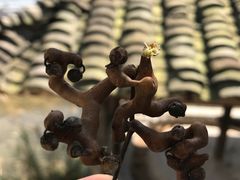 -天河潭旅游度假区