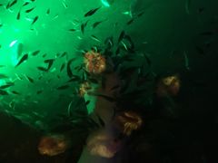 -宝丽金大酒店·洗浴中心