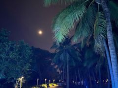 -欢乐海岸椰林沙滩-2025湾区超级灯会