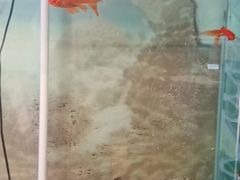 -德全心悦酒店(北京金台路地铁站店)