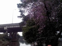 -小洲村