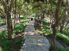 -团结湖公园