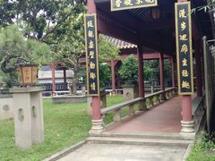 -碧江金楼