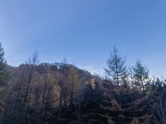 -秦岭风景区