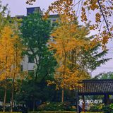 杭州赏秋｜朝晖文化主题公园