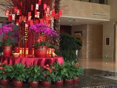 -常州环球恐龙城维景国际大酒店