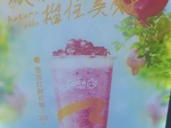 -CoCo都可(骆家庄新店)