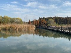 -溱湖国家湿地公园