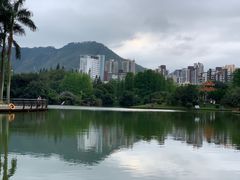 -四海公园(南山区)