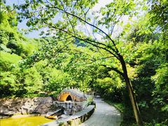 -西安祥峪森林公园
