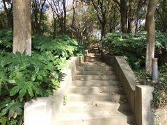 -上海市保健医疗中心(华东疗养院)