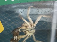 -品鲜村农家菜·阳澄湖大闸蟹(总店)