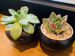 -Peet's Coffee皮爷咖啡(大学路店)