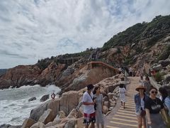 -广东惠东海龟国家级自然保护区