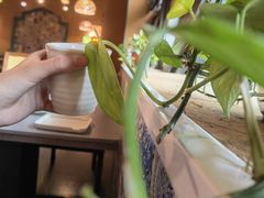 -君邦火锅(新疆大厦店)