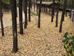 -蟠龙山长城景区