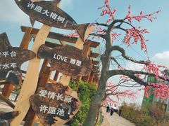 -小洋口旅游度假区