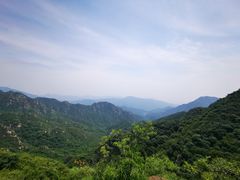 -大岭沟猕猴桃谷风景区
