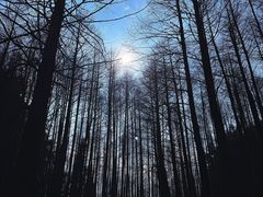 -山王坪喀斯特国家生态公园