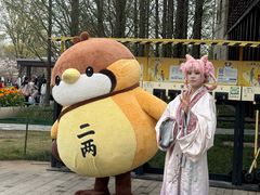 -江苏三台山国家森林公园