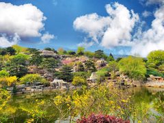 -北京西山国家森林公园