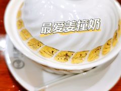 姜汁撞奶-正德顺順德雙皮奶(中信店)