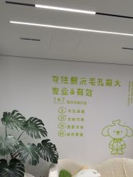 -凡碧诗毛孔清洁收细