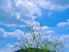 -东湖吹笛景区(马鞍山森林公园)