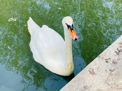 -沈阳鸟岛