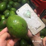 人在旅途