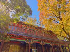 -灵谷景区
