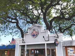 -阿甘虾餐厅(Maui)