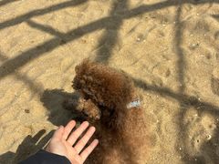 -在海一方公园