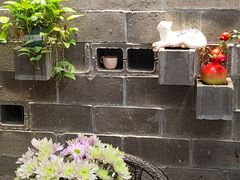 -树咖啡tree coffee