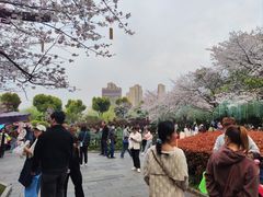 -堤角公园