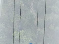 -呀诺达热带雨林
