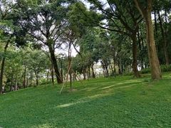 -云溪植物园