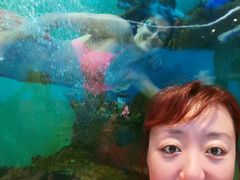-亚龙湾海底世界