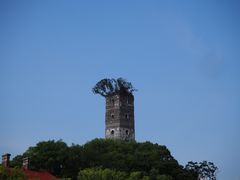 -江心屿景区