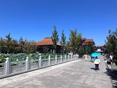 -大悲禅寺