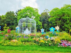 -上海共青森林公园