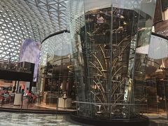 -视博茶点(美狮美高梅店)