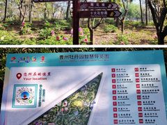 -曹州牡丹园