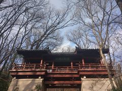 -紫金山山顶公园