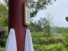 -中铁花水湾温泉酒店(大邑店)