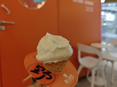 -野人先生现做冰淇淋(北京王府井东方新天地店)