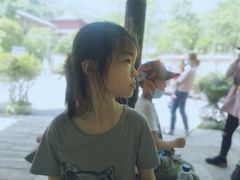 -木兰云雾山