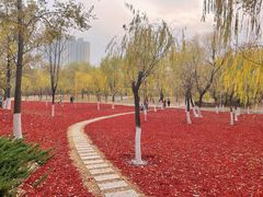 -滨河世纪广场公园