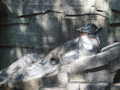 -敬亭山风景名胜区