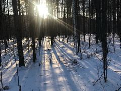 -北极村旅游风景区